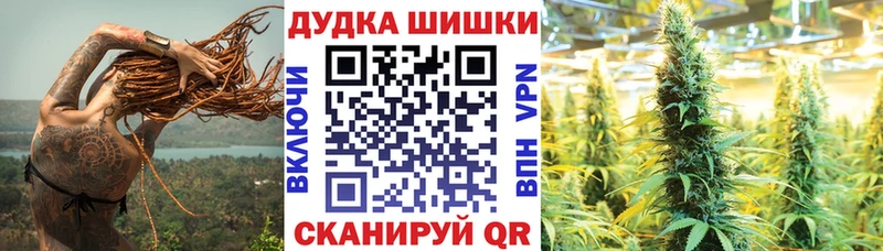 Лсд 25 Елец