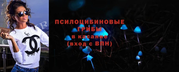 ГАЛЛЮЦИНОГЕННЫЕ ГРИБЫ Алексин